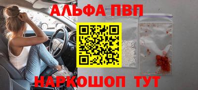 спиды Кингисепп