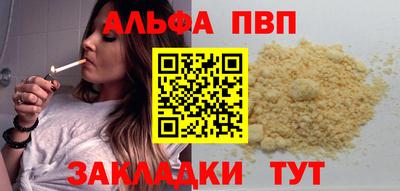 спиды Кингисепп