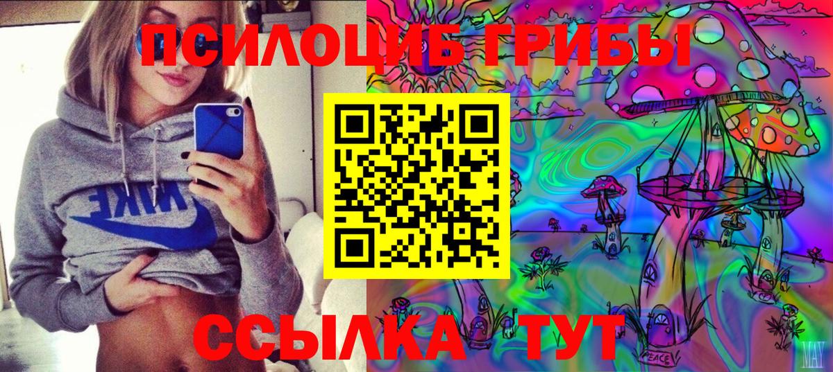 Галлюциногенные грибы Cubensis  Вход с VPN  Псилоцибиновые грибы прущие грибы  Балтийск 